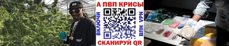 Как найти наркотики Колпашево Лсд 25 ГАШИШ Амфетамин Бошки Шишки КОКАИН